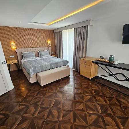 فندق أنثيميس 3*