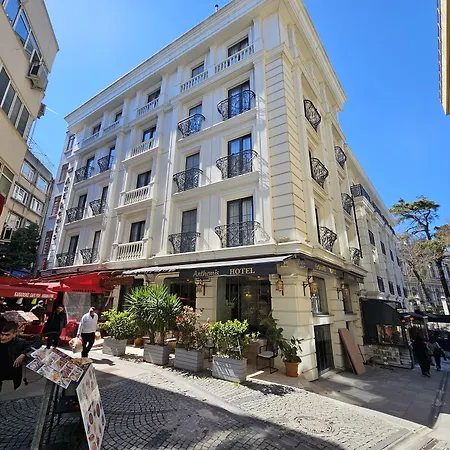 Anthemis Istanbul
