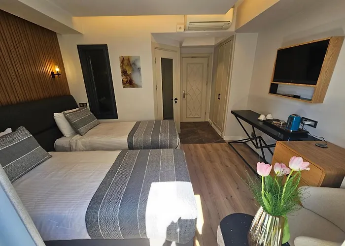 Anthemis 4* Стамбул