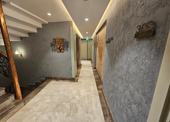 Anthemis Стамбул