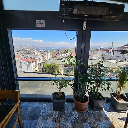 雏菊酒店 酒店 4*