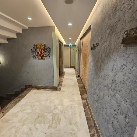 雏菊酒店 伊斯坦布尔