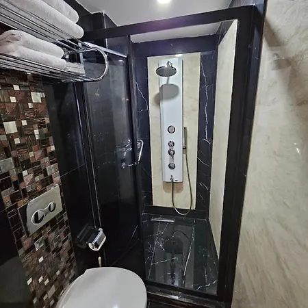酒店 雏菊酒店 4*