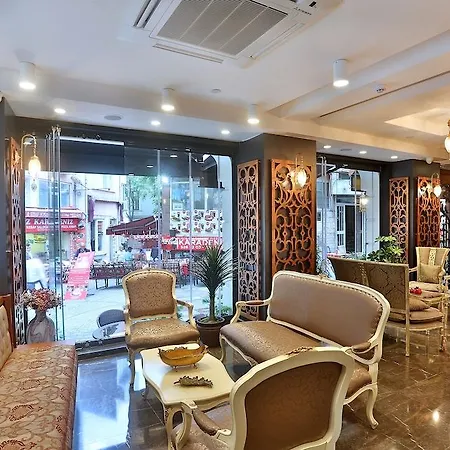 雏菊酒店 酒店 4*
