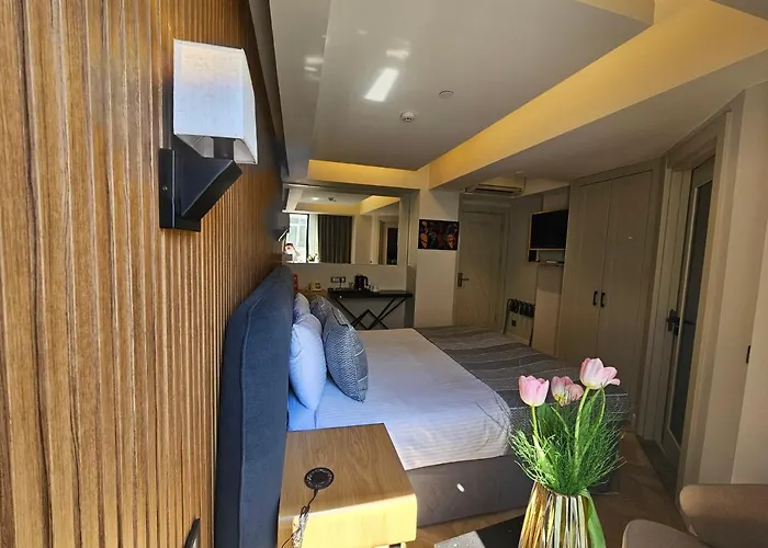 Anthemis Отель Стамбул