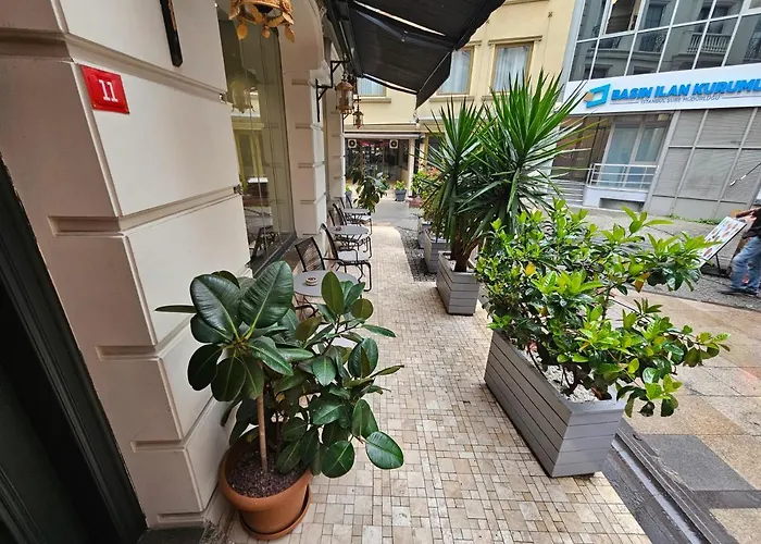 Anthemis Стамбул